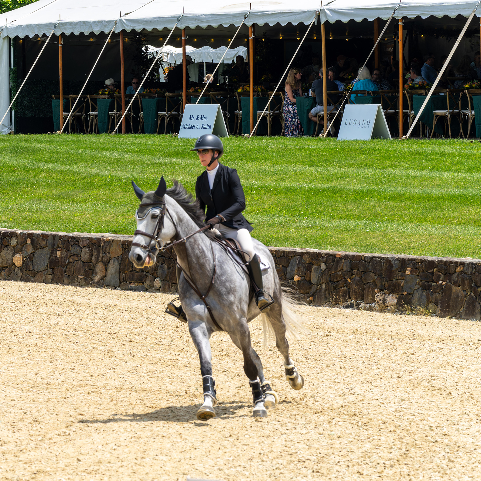 Upperville Colt & Horse Show 2024